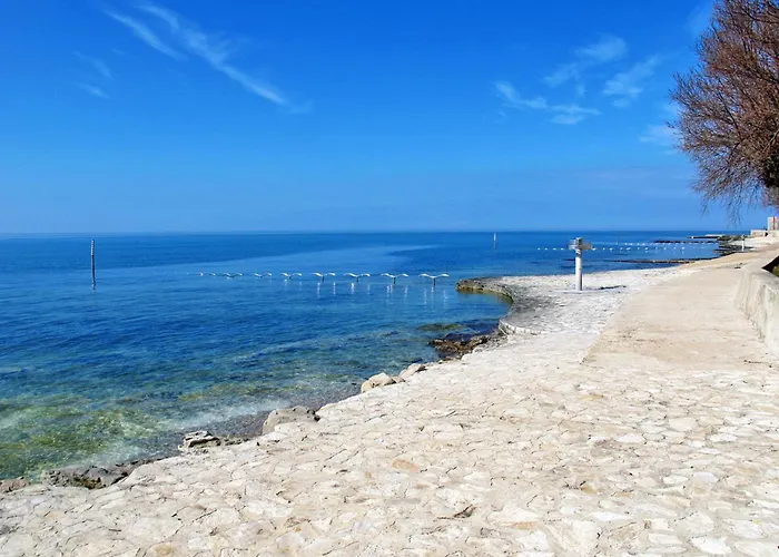 Grgic By Interhome * Novigrad Istria